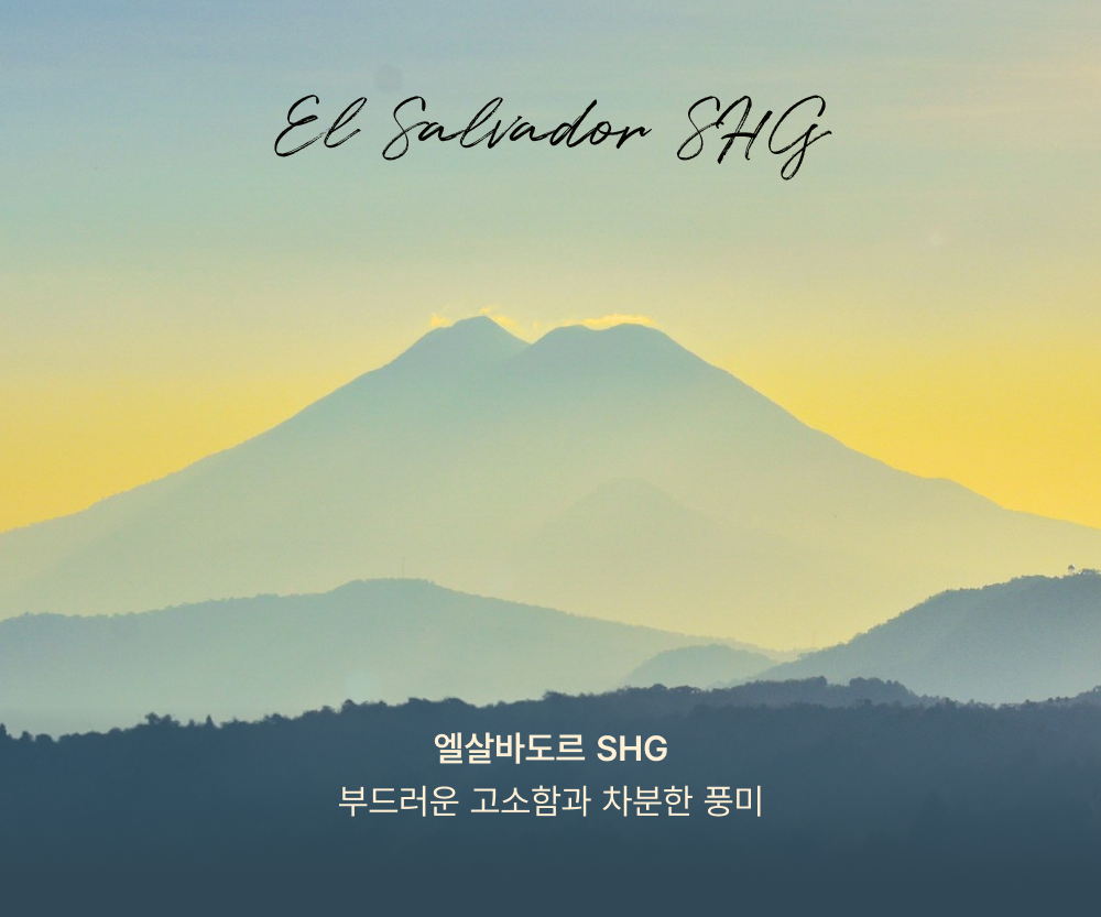 엘 살바도르 SHG 원두 소개 이미지